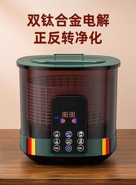 洗菜机12升带双向旋转式智能家用洗菜机果蔬清洗机消毒机