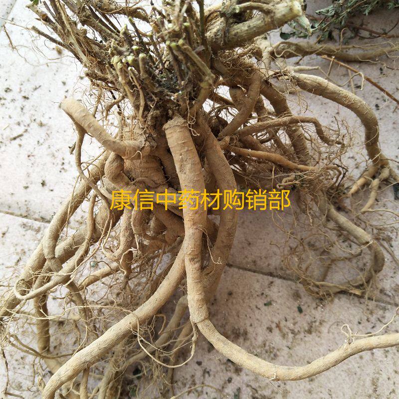 糯米薯500g 雾水葛根,啜 脓膏,石茹,田薯晒干 地清散,脓见消