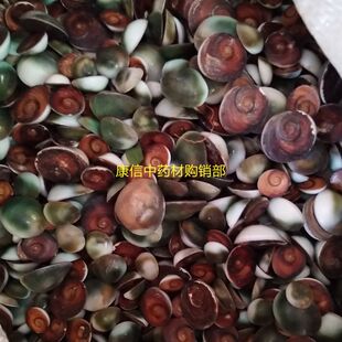 海闹沙500克 海闹砂 紫硇砂 白硇砂 太极石甲 香水云母