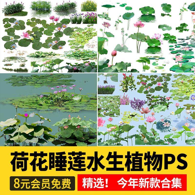 荷花睡莲水生植物PSD池塘莲花荷叶彩平平面效果图后期免扣PS素材