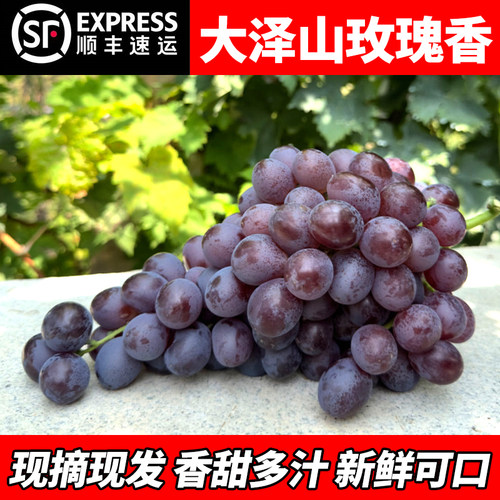 自己果园清晨采摘的玫瑰香葡萄