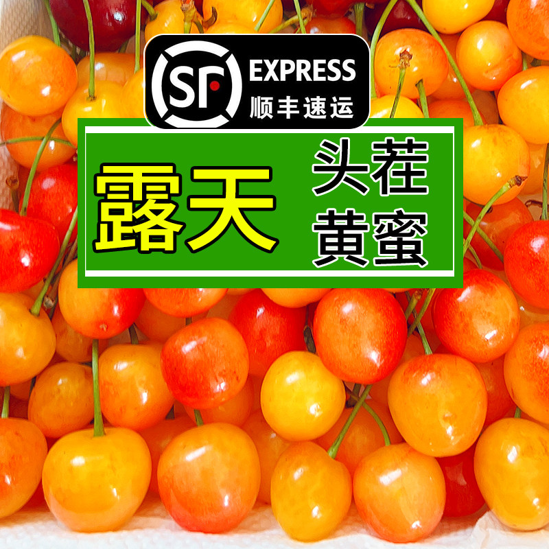 烟台黄蜜大樱桃3斤山东黄水晶雷尼樱桃5新鲜小孕妇水果车厘子顺丰