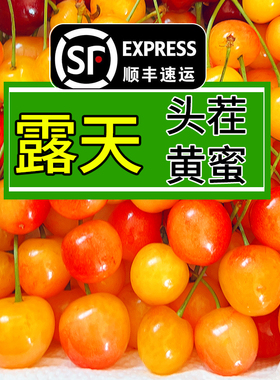 烟台黄蜜大樱桃3斤山东黄水晶雷尼樱桃5新鲜小孕妇水果车厘子顺丰