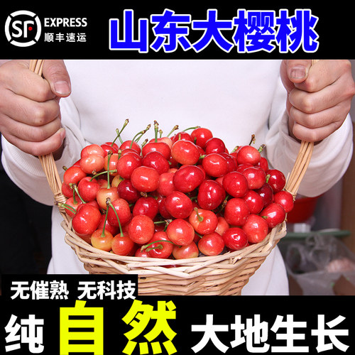 孕妇水果红灯山东大樱桃