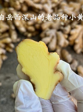 带皮姜丝老品种小黄姜自然晒干