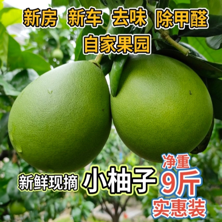 小柚子新鲜现摘柚子皮新车除异味柚子