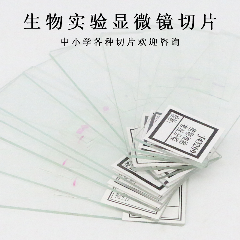 包邮 生物切片人体四大组织装片动植物动物生物显微镜标本装片
