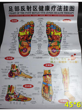 正版高清人体经络穴位图足部反射区挂图足底按摩标准穴位中医针灸