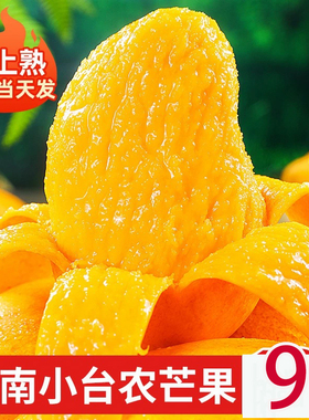 海南小台农芒果9斤新鲜小台芒应当季甜心芒热带水果特产整箱包邮