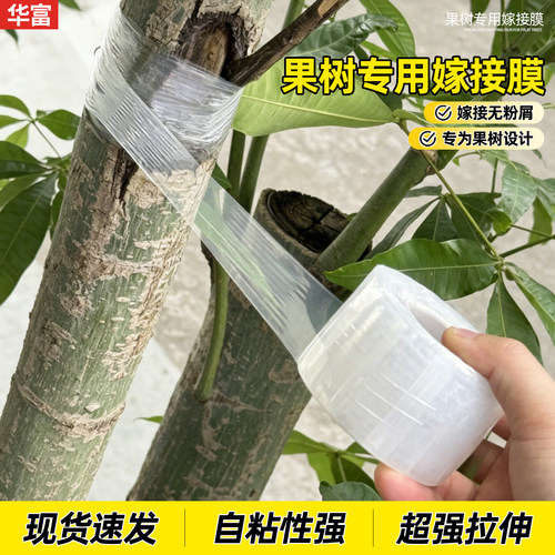 果树嫁接专用膜缠绕膜PE免拆自粘式薄膜架接膜稼接膜园林接树胶带