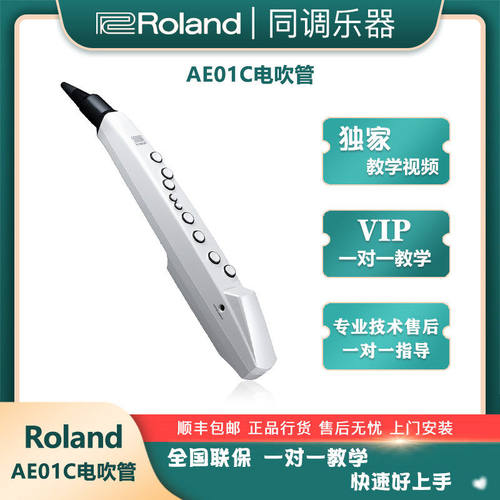 罗兰AE01C电子吹管自带民乐
