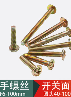 中国面板螺丝帝思威五金铁好用