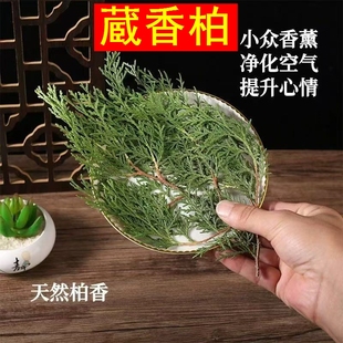 正宗西藏藏香柏枝叶净宅养水晶养文玩去晦气开运新鲜采摘藏地树枝