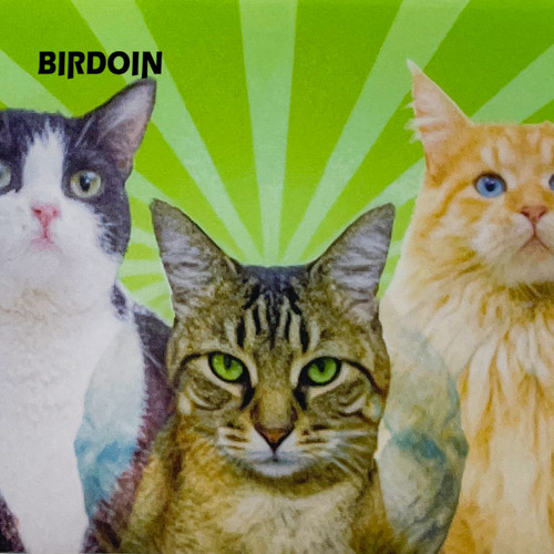 可爱动物表情艺术3D光栅明信片