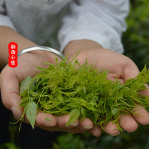 野生莓茶张家界茅岩莓茶特级龙须嫩芽尖土家长寿藤新茶正品500g