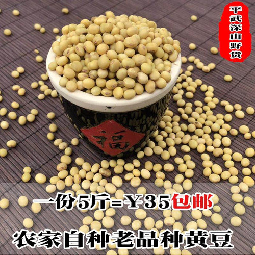 黄豆 四川农家自种老品种小黄豆打豆浆 非转基因土黄豆5斤包邮