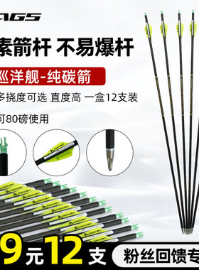 200/300/350/400N纯碳箭碳素箭