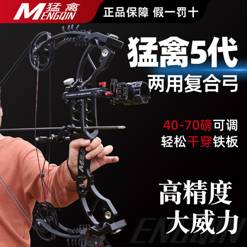 性价比超高的猛禽5代两用弓