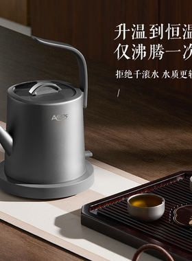 亚摩斯纯钛电水壶恒温家用泡茶壶