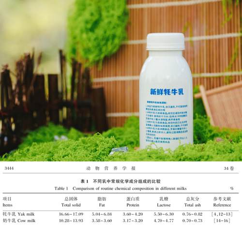 新鲜牦牛奶非灭菌乳不可直接饮用需熬煮后再喝川西高原产地直发