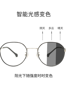 2024新款无度数无度数防蓝光变色太阳眼镜 光感变色太阳镜