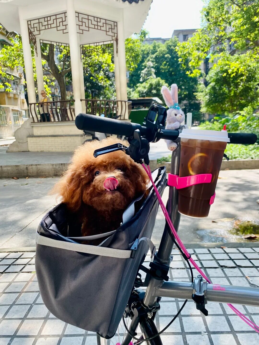 BROMPTON 접이식 자전거 액세서리 물병 홀더에 적합 퀵 릴리스 우유 차 커피 컵 홀더