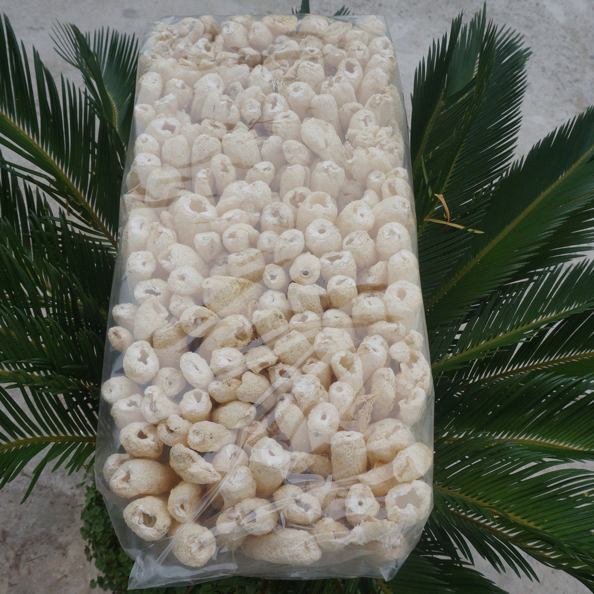 冠发古田特产无熏硫500g包邮竹荪