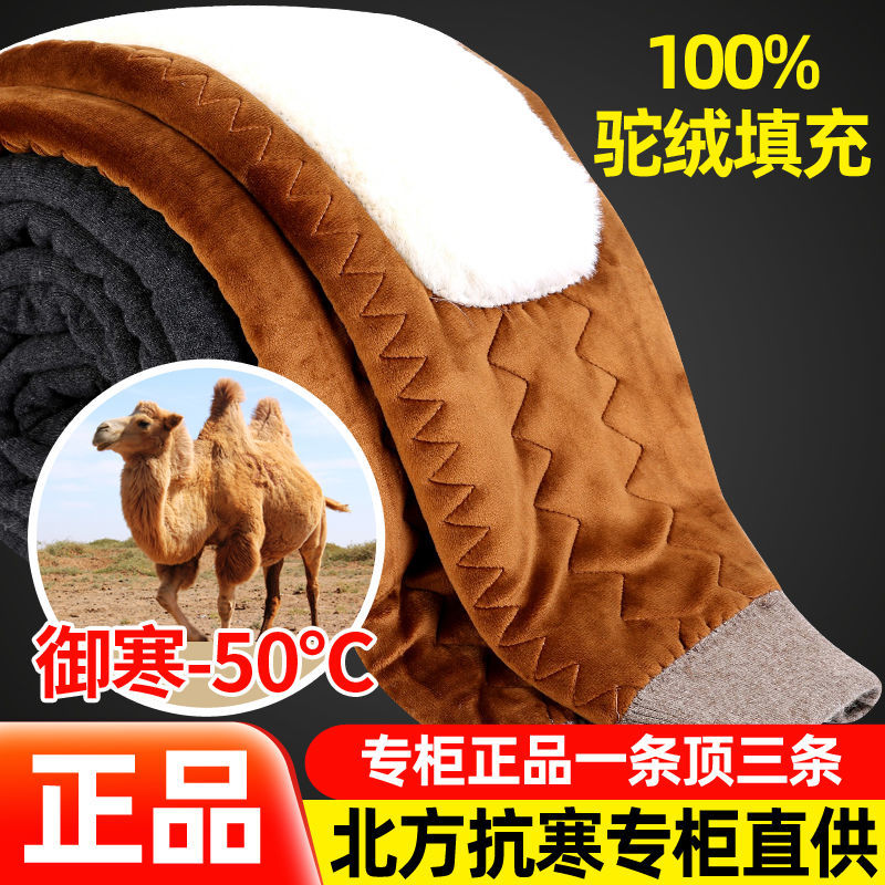 冬男女式毛裤五层加厚加绒驼绒棉裤中老年高腰保暖裤打底裤理疗裤