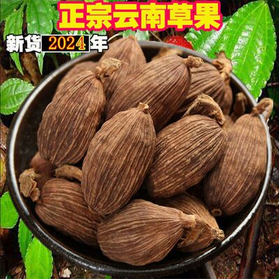 正宗草果 云南草果 草果粉 农家草果 卤肉炖肉料去腥草果