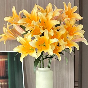 同城甄选精品国产鲜花速递晚霞多头百合鲜切花家庭用花5支新品