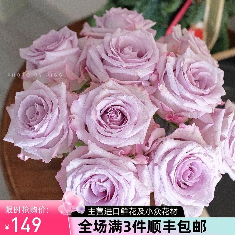 厄瓜多尔进口花材鲜花速递Purple Haze 紫雾玫瑰花10支新品
