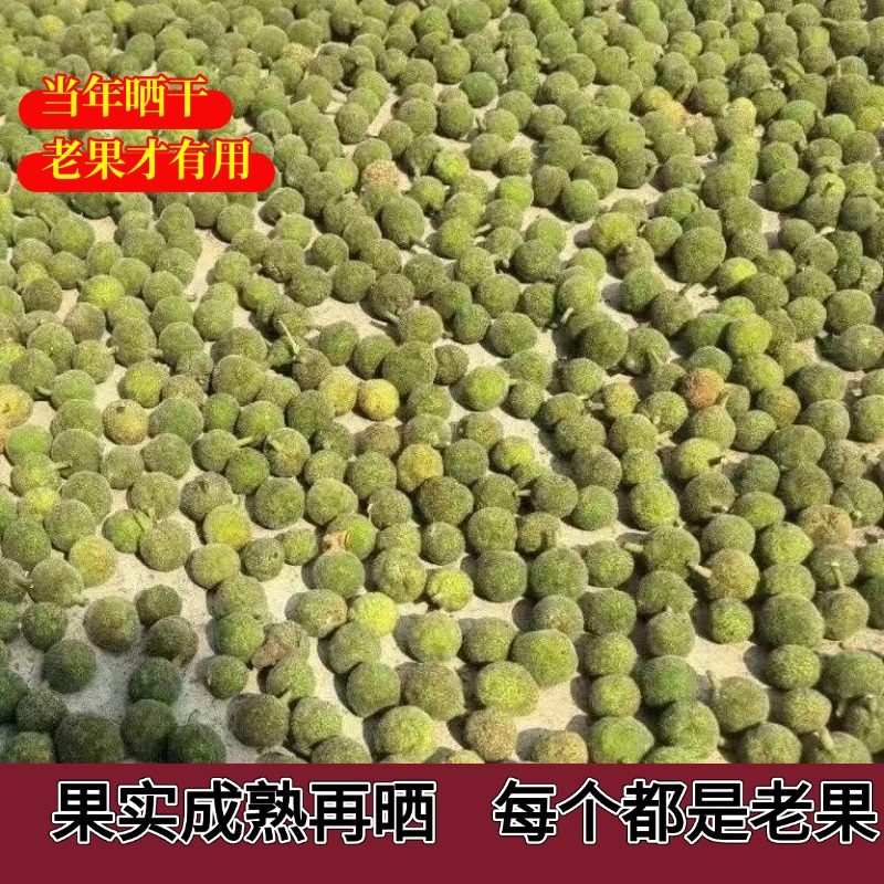 四川野生晒干构树果子褚实子果构叶果当年新货农村自己晒干