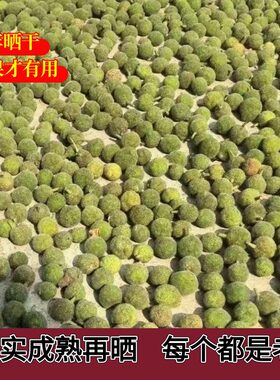 四川野生构树果子当年新货