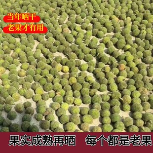四川野生晒干构树果子褚实子果构叶果当年新货农村自己晒干