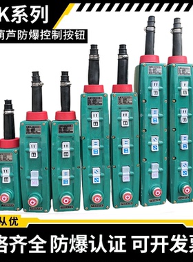 起重机行车防爆电动葫芦控制手柄操作按钮开关BAK21/31/41港迪