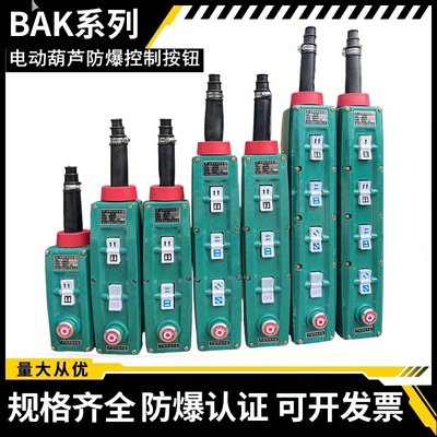 起重机行车防爆电动葫芦控制手柄操作按钮开关BAK21/31/41港迪