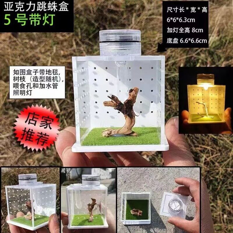 蜘蛛饲养盒跳蛛鸣虫箱螳螂佛罗里达蝈蝈笼蛐蛐跳蛛昆虫
