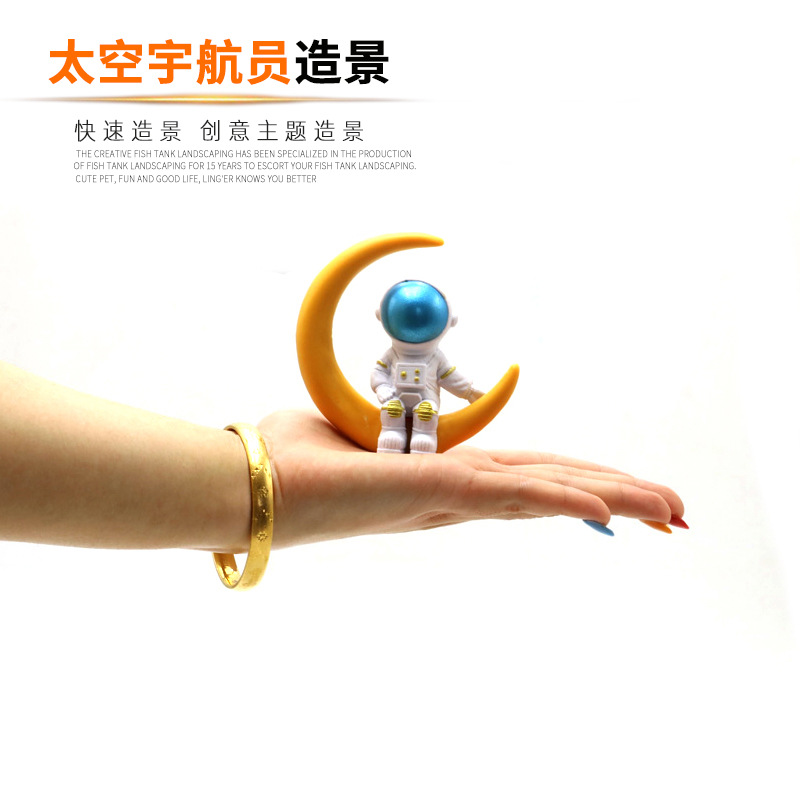 灵儿宠物造景/装饰新款创意