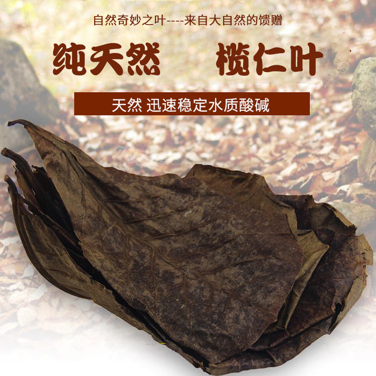 天然懒人叶用品斗鱼热带鱼龙鱼乌