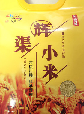 2024辉渠小米安丘辉渠新小米山东小米煮粥宝宝孕妇食材小米批发
