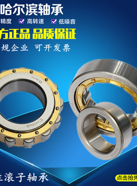 哈尔滨圆柱滚子轴承N NU NJ RN NUP 310 311 312 313 314 315 EM