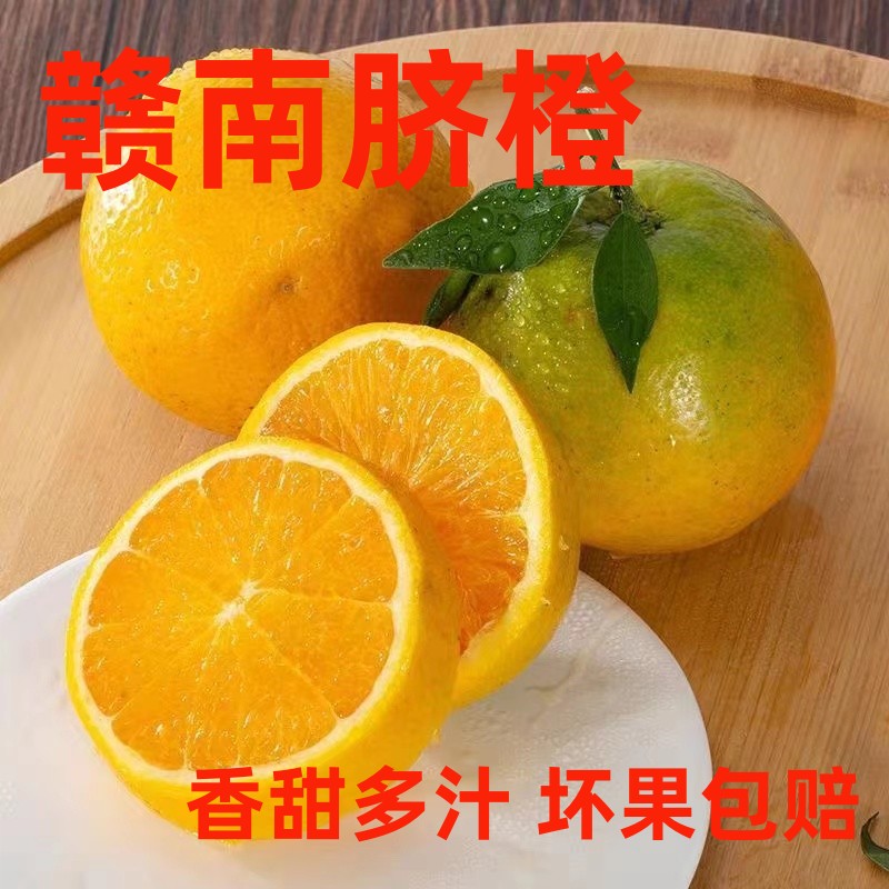 江西赣南脐橙橙子10斤装新鲜现摘特级大果手掰橙正宗赣州产地直发