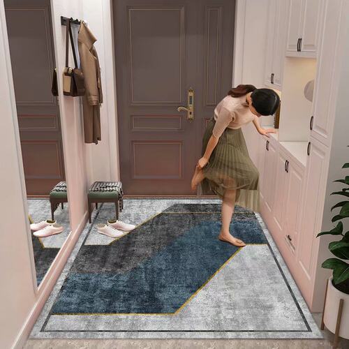 北欧现代轻奢风3D印花地毯玄关入户门垫可机洗卧室客厅地毯可