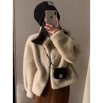 水貂绒外套女冬季2025新款立领加厚环保皮草保暖短款毛绒上衣潮