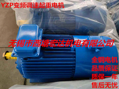 无锡西塘宏达YZP200L-6-22-26KW起重冶金用变频调速三相异步电机