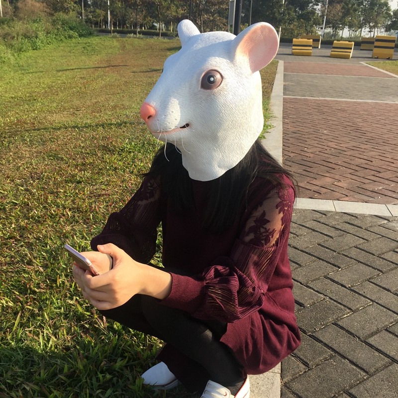 动物面具松鼠头套马头老虎舞会兔子派对搞笑运动会动物表演道具