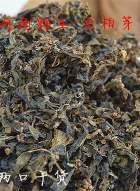 河南土特产龙柏芽干菜山野菜天然野生龙柏芽干货农副产品山货500g