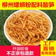正宗螺蛳粉配料自制即食专用酸笋广西桂林米粉特产笋尖500g