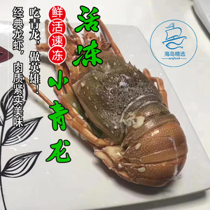 两只精选东山岛速冻野生大龙虾