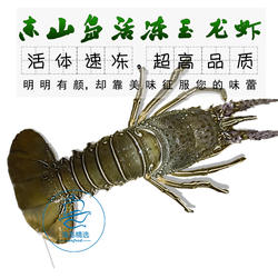 东山岛大龙虾玉青龙活冻玉龙虾新鲜活体速冻海鲜大虾不包活2只3斤